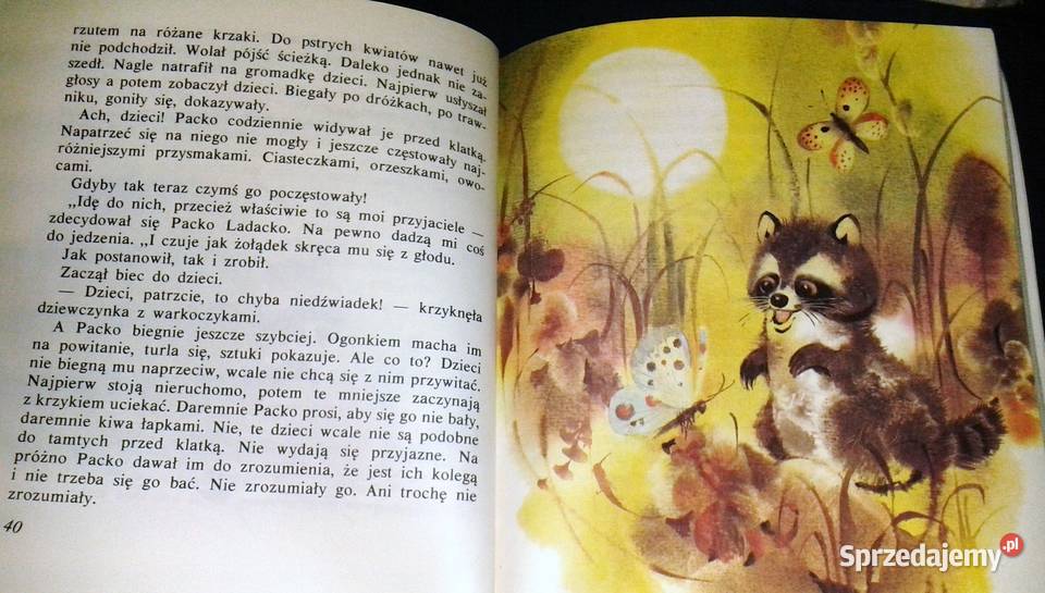 Urwis Packo Rudo Moric Chełm sprzedam