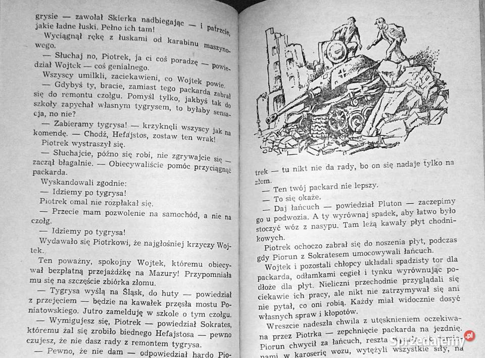 Chłopcy ze Starówki Halina Rudnicka