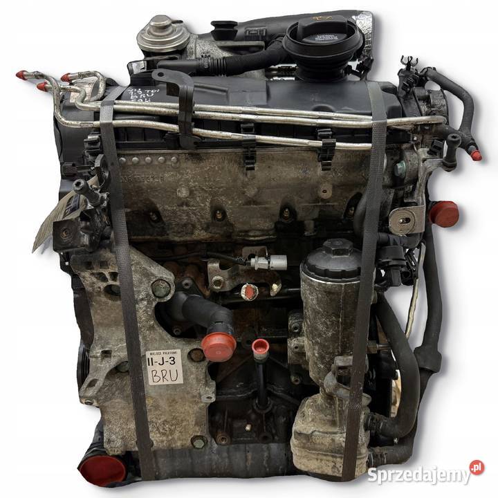 SILNIK BRU VW Golf V Plus Touran 19 TDI 90 Chełm sprzedam
