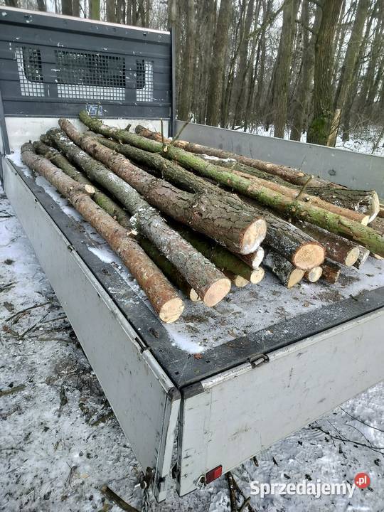 stemple budowlane sosna