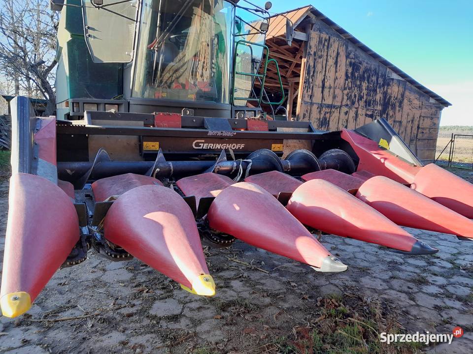 Przystawka Geringhoff Rota Disc 5rzędowa Zabłudów
