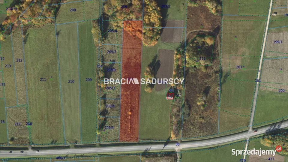 Działka Ptaszkowa 6493m2