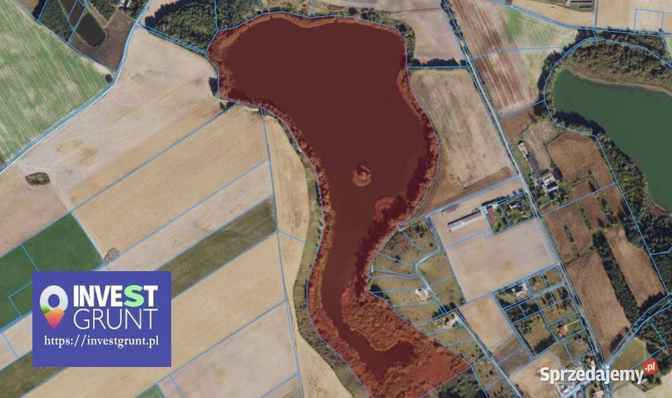 2481 ha jezioro przetarg na dzierżawę Wynajem kujawsko-pomorskie Gajewo