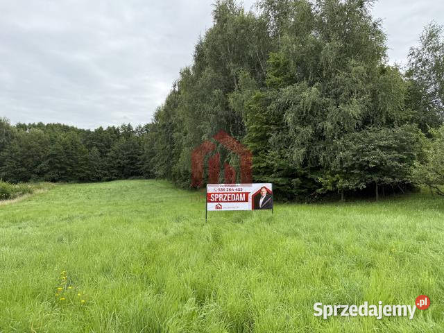 Grunt na sprzedaż 3500m2 Woliczka sprzedam