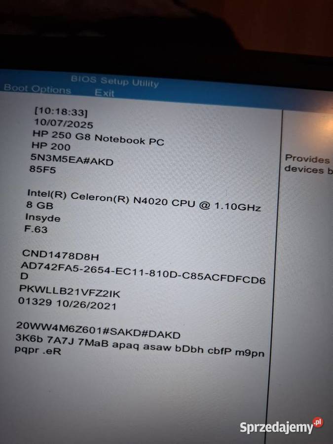 Laptop hp notebook Liczba rdzeni 1 Płock sprzedam