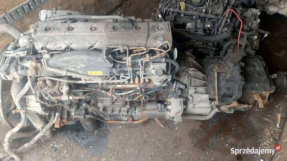 RENAULT PREMIUM MIDLUM 270 DCI skrzynia biegów osobowe świętokrzyskie