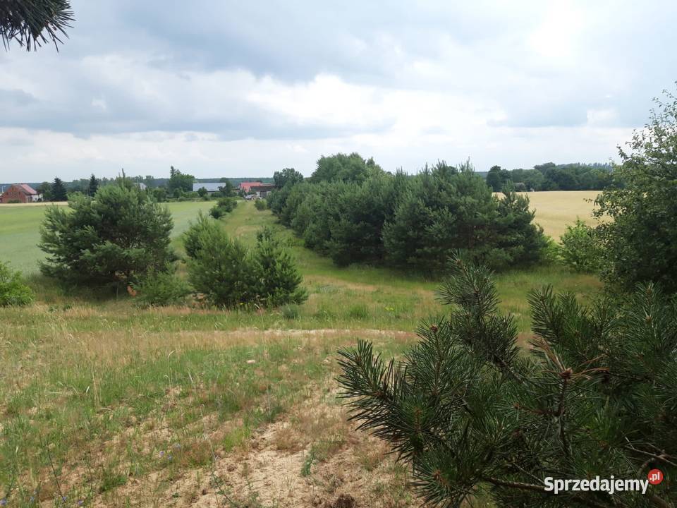 Działka budowlana dostępem do drogi Świerczyna