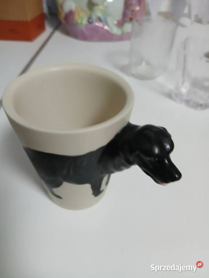 Kubb z labladorem Solec Kujawski