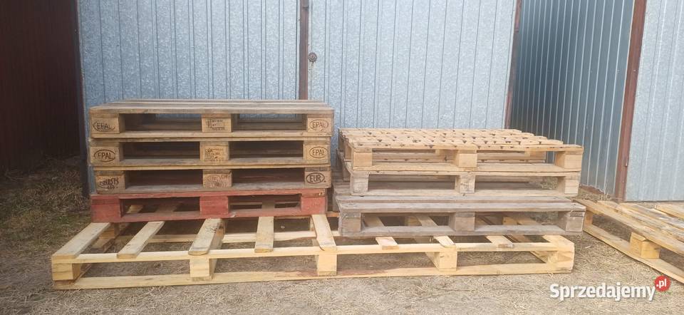 Palery rżne wymiary