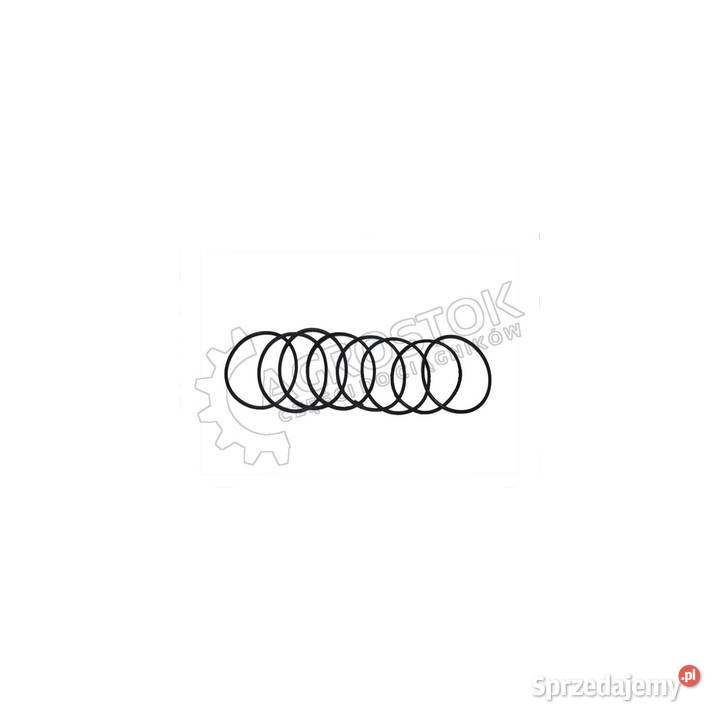 Komplet oringów dt75 Pozostałe lubelskie Parczew