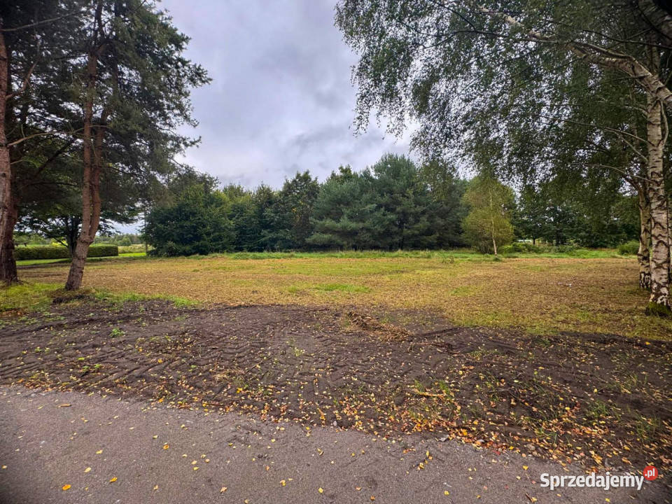 Działka budowlana z laskiem 122zł/m2 Darłowo