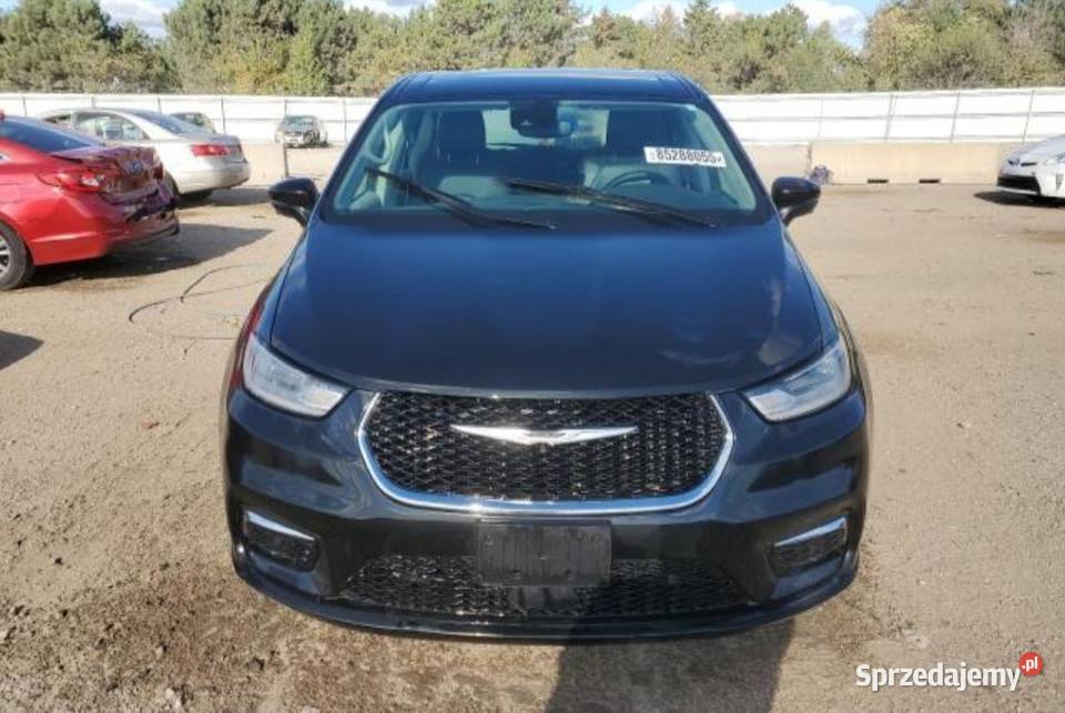 Pacifika hybryda sprzedam Poddębice