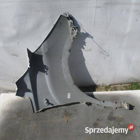 BŁOTNIK LEWY PRZÓD HYUNDAI H300 BIAŁY 09 Rakoniewice