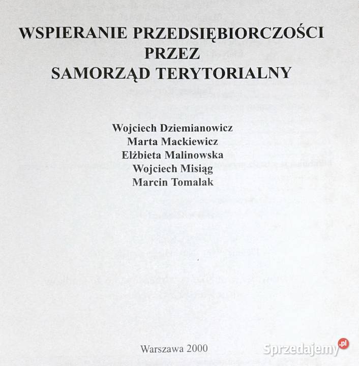 Wspieranie przedsiębiorczości samorząd