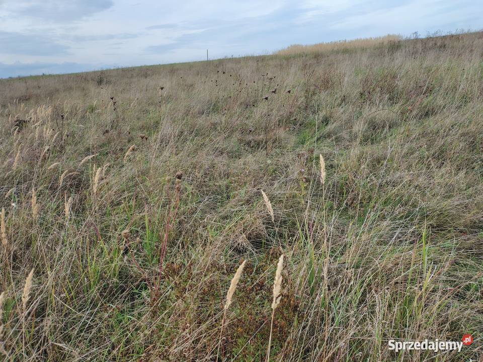 działki budowlane 989m2 Morawica