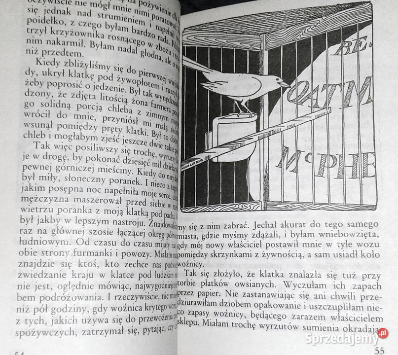 Doktor Dolittle i zielona kanarzyca Hugh Lofting