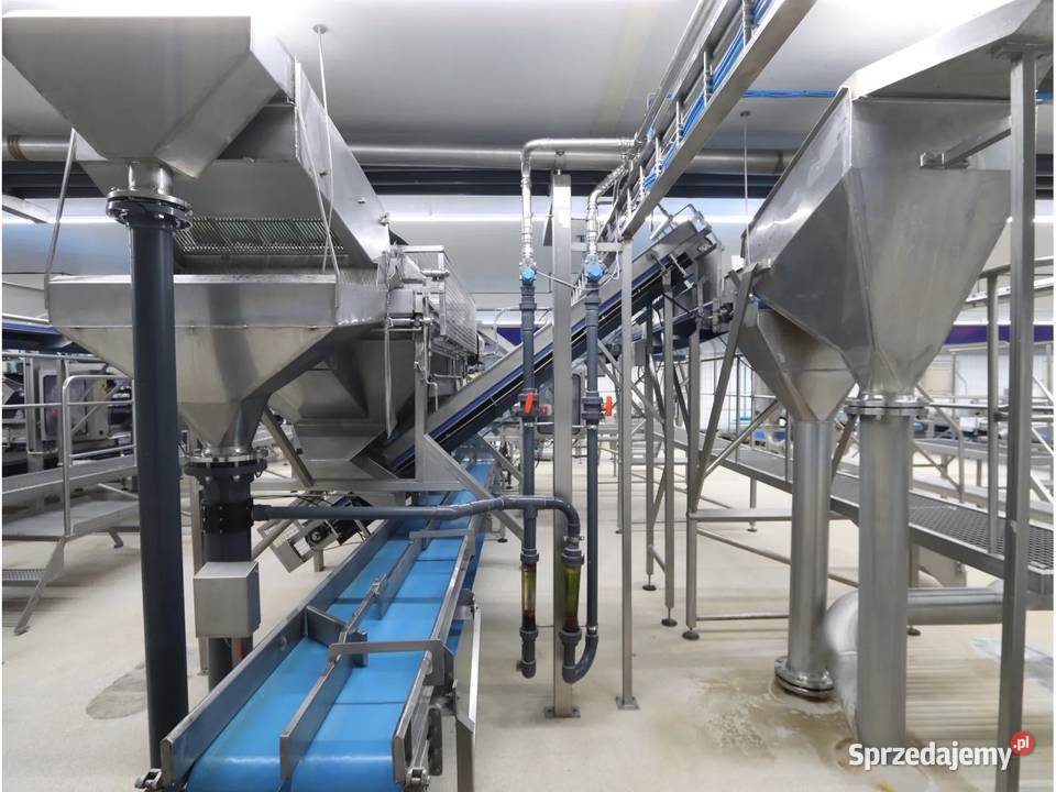 Odenberg Tomra Linia sortowania ziemniaków Krotoszyn