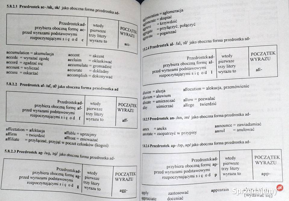 Uzasadnienie pisowni angielskiej Mario Li Ulfe Pozostałe Chełm