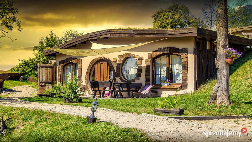 Obóz Rekreacyjny Aktywni i Wygodni ViaCamp 2022 Przywidz