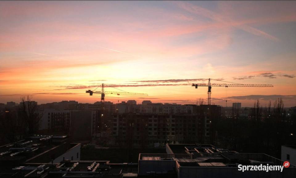 2pok 40met Kępa Mieszczańska BALKONGARAŻWINDA Wynajem dolnośląskie Wrocław