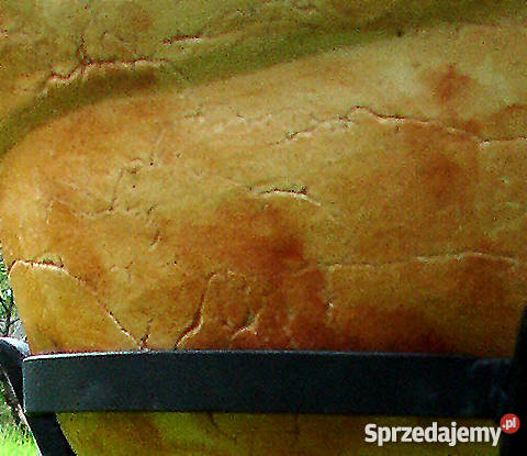 Donica ceramiczna mrozoodporna 40x40 Sprzedam Jelenia Góra