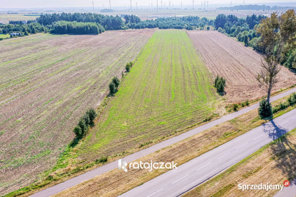 sprzedaży gruntu 9632m2 Łebcz Dr Augusta