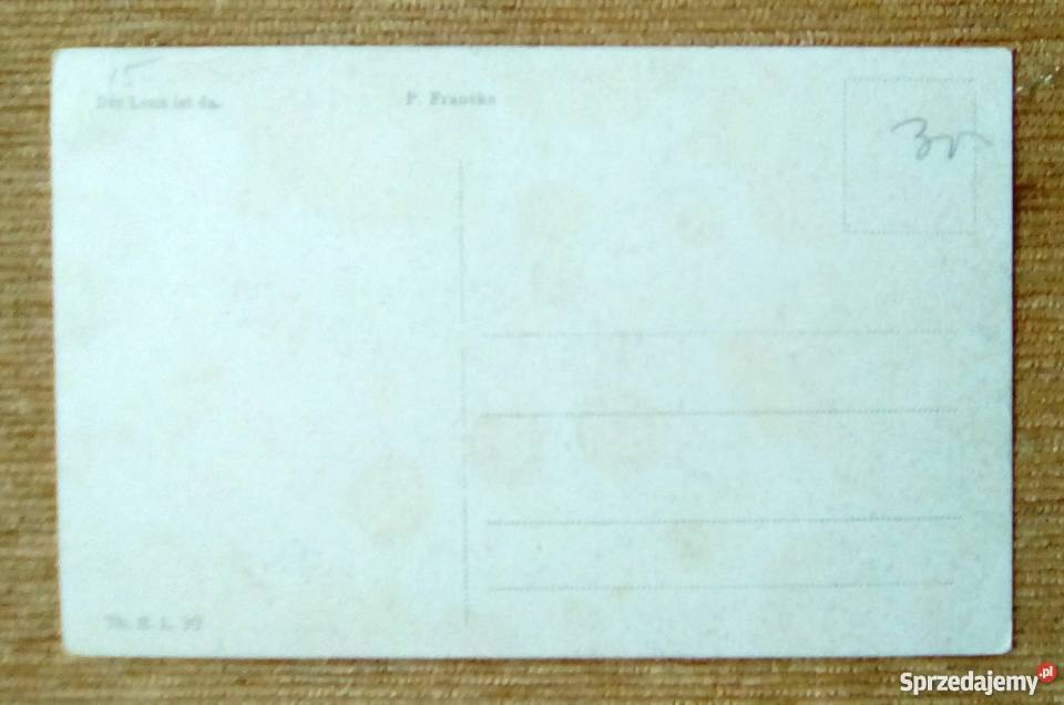 ZAKOCHANA PARA NA SPACERZE