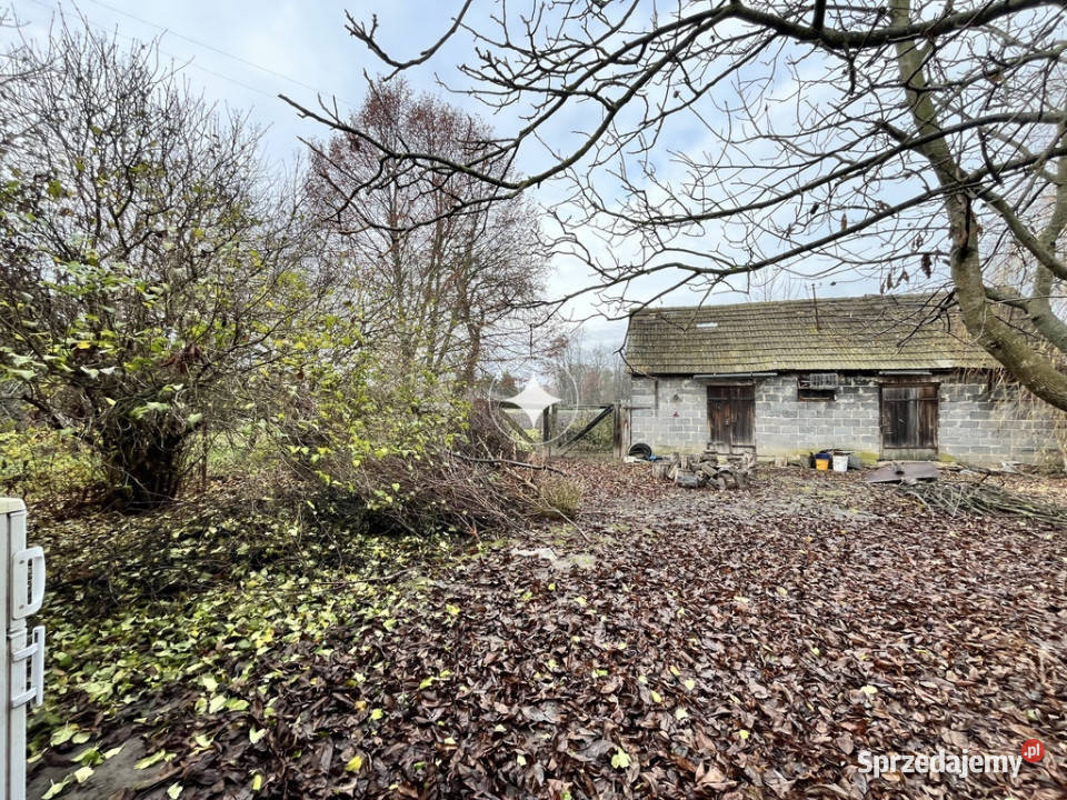 Działka z zabudowaniami w HostynnemKolonii Sprzedaż Hostynne-Kolonia