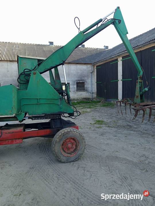 Cyklop w stanie nieuszkodzony