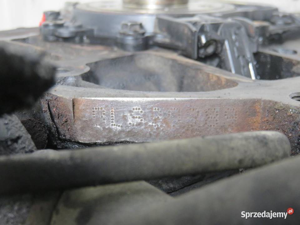 SILNIK VW CADDY III 19 TDI 105 BLS 038130073AG