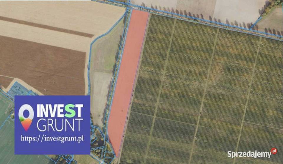 800 ha przetarg na dzierżawę gruntów rolnych Annopole