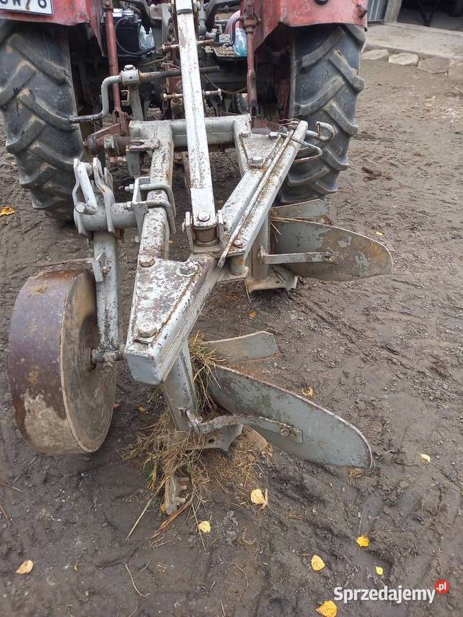 Pługi 2 Biała Podlaska