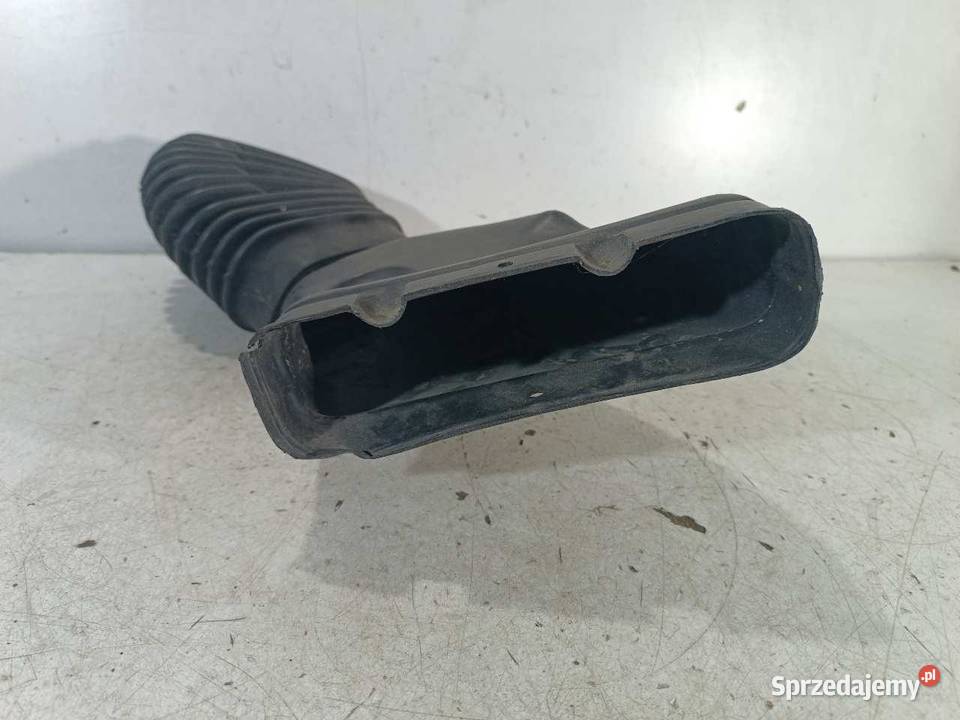 DOLOT POWIETRZA BMW E39 wielkopolskie