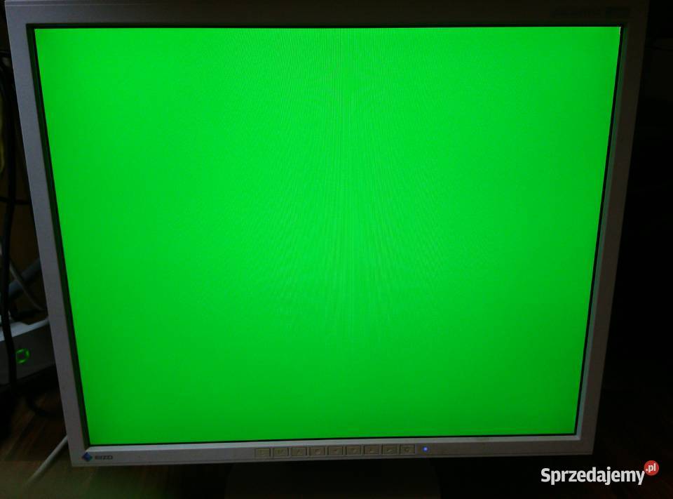 Monitor EIZO Flexscan S1910 19 1280x1024 Warszawa