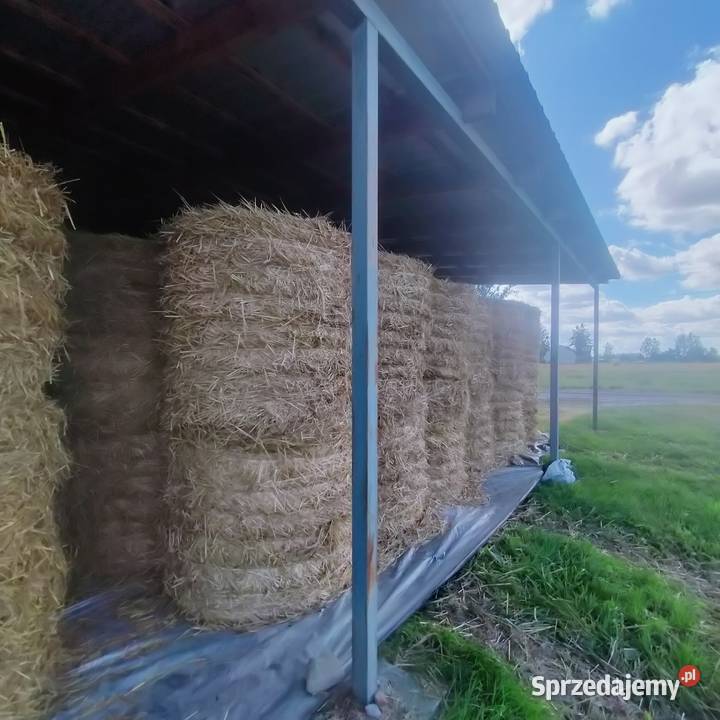 Sprzedam słomę Żytnią i Owsiankę 120120 Szóstka