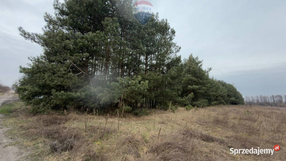 Michałów urokliwa działka budowlana 5500 m2