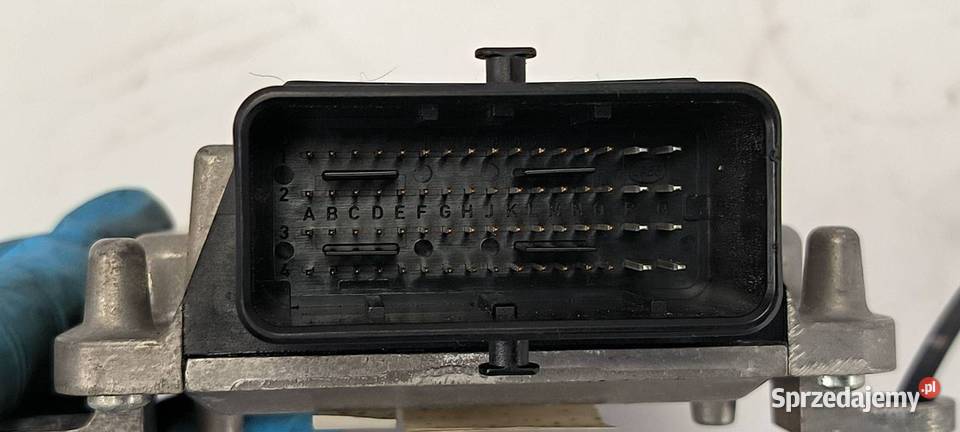 MODUŁ ZAZ FORZA A133605010CA Lipno
