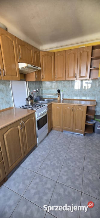 Mieszkanie 3 pokoje borki pawia mazowieckie sprzedam