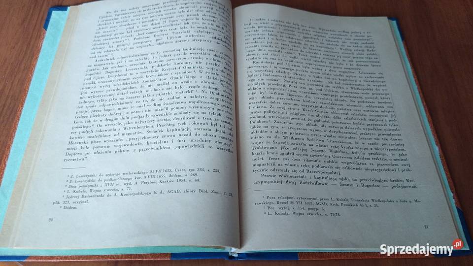 Rola magnaterii i szlachty w pierwszych latach