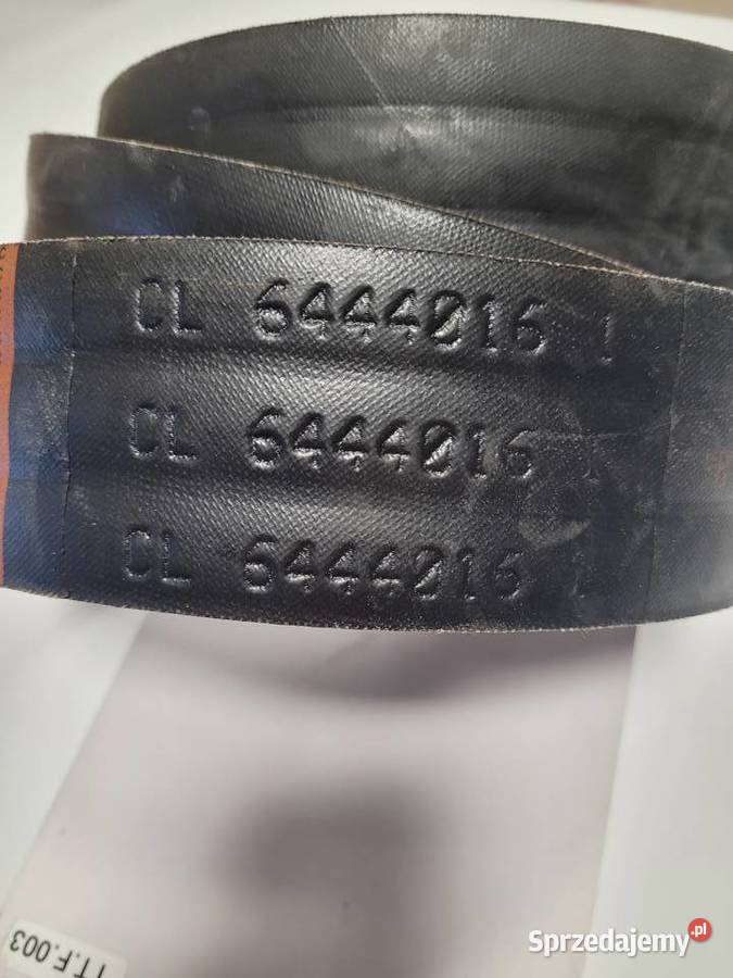 PASEK KLINOWY 3HB 1822 HCL 64440161 Szczecin