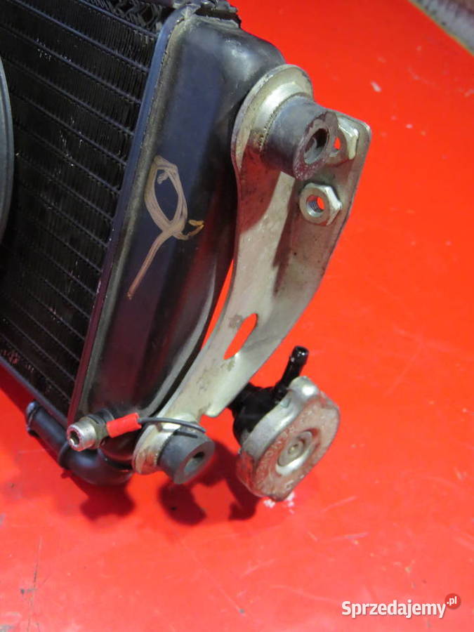 MALAGUTI SPIDER 500 CHŁODNICA WENTYLATOR cooler Wrocław