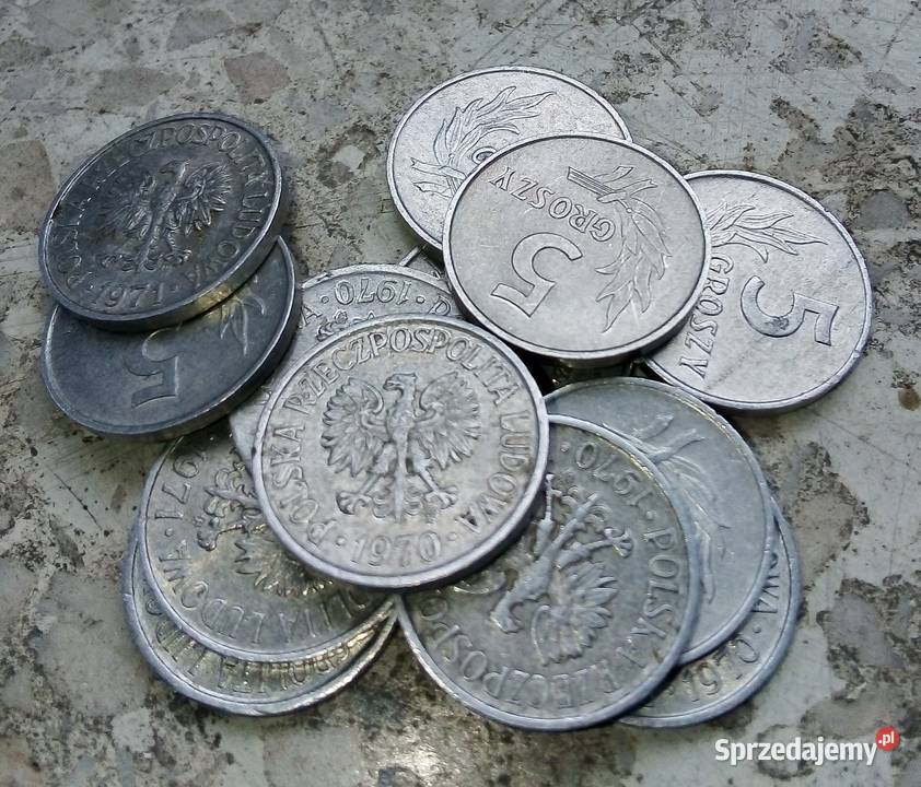 POLSKA 5 GROSZY 15 SZTUKAL Legionowo