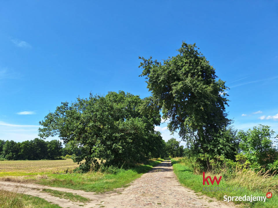 Działka Murzynowo 591m2