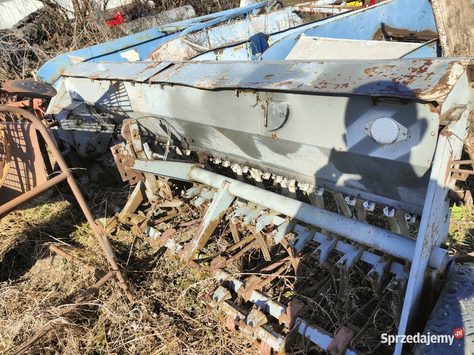 Poznaniak mazowieckie