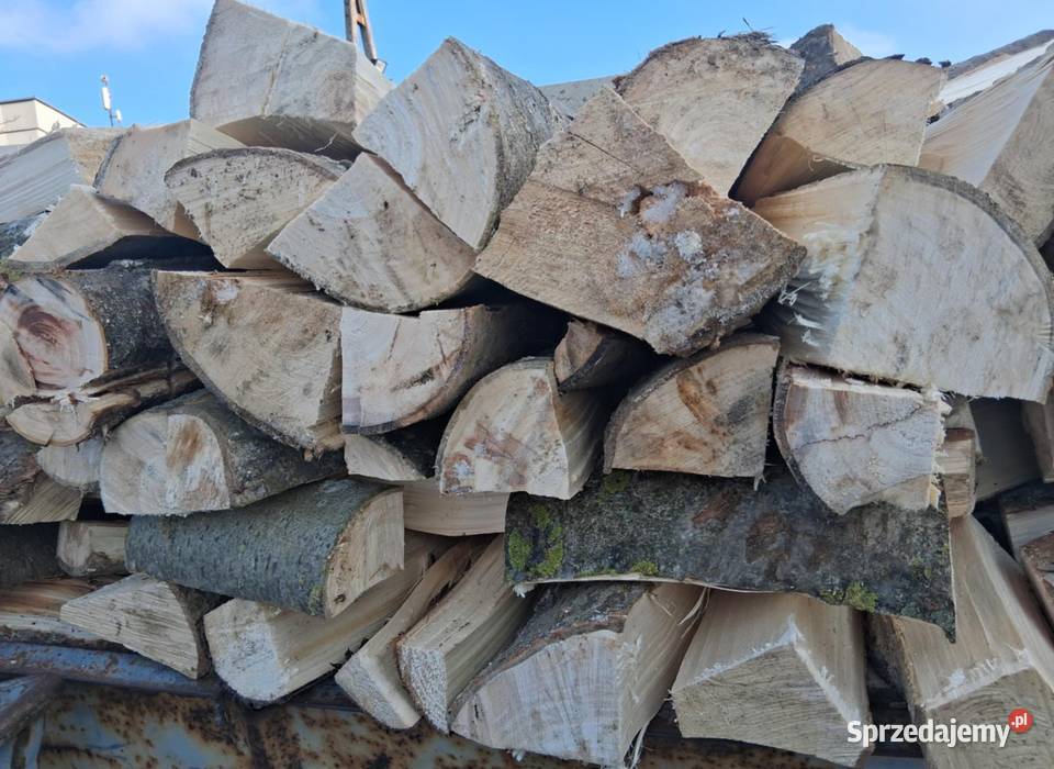 Drewno opałowe w 300 m3 wielkopolskie