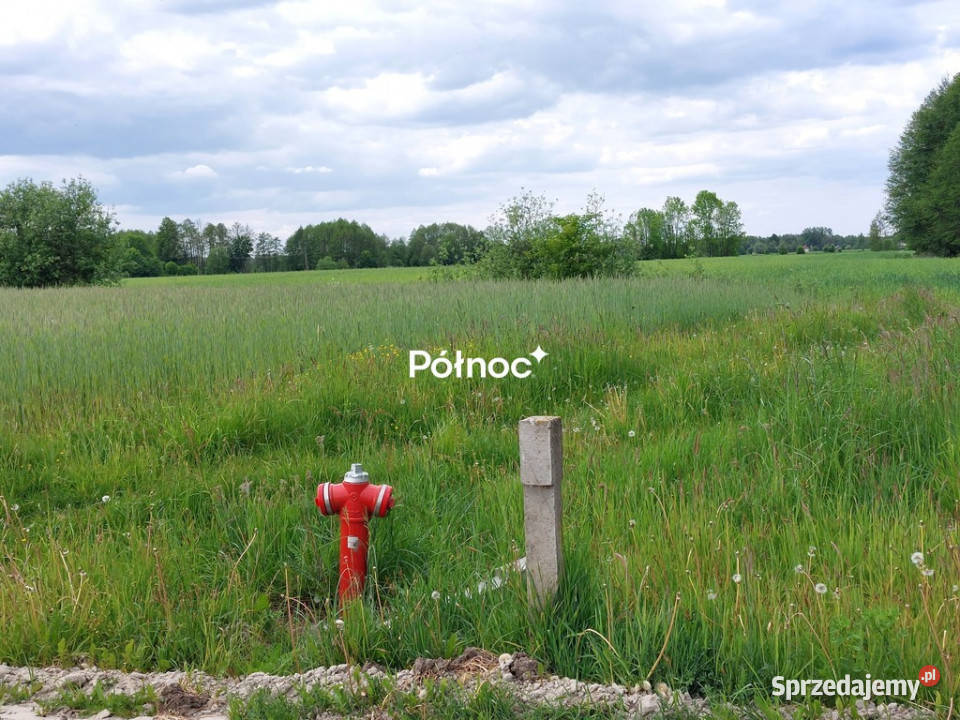 Działka budowlana Wólka Zabłocka Kolonia Sprzedaż Wólka Zabłocka-Kolonia