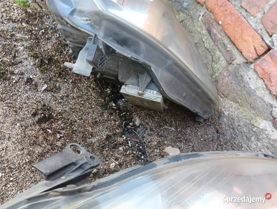 Lampy Zafira B xenon Eu kompletne oryginalne Lampy przednie Poniec sprzedam