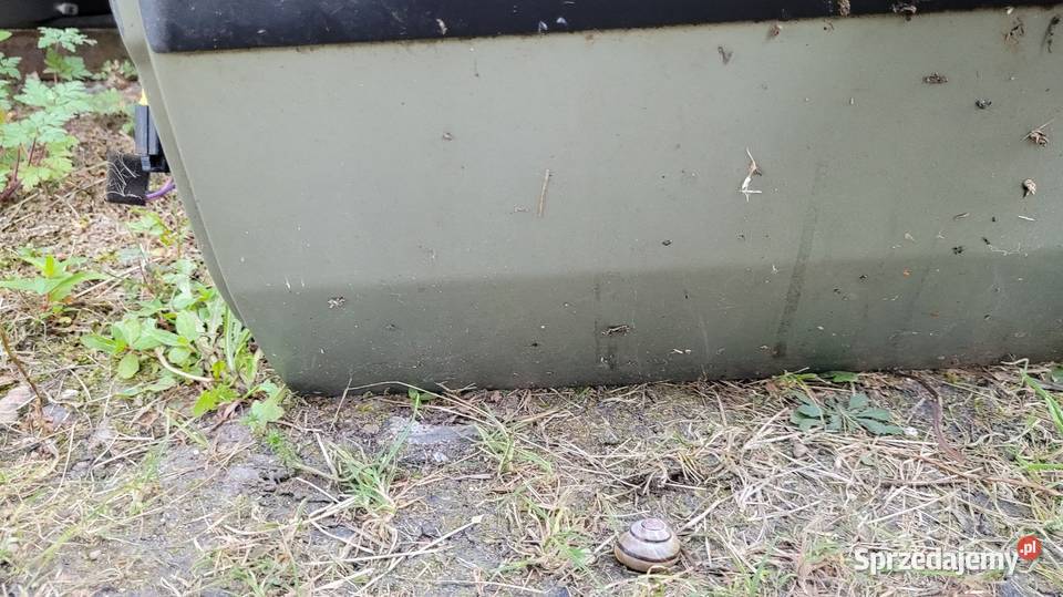 Drzwi Renault Thalia osobowe Drzwi Łagów sprzedam