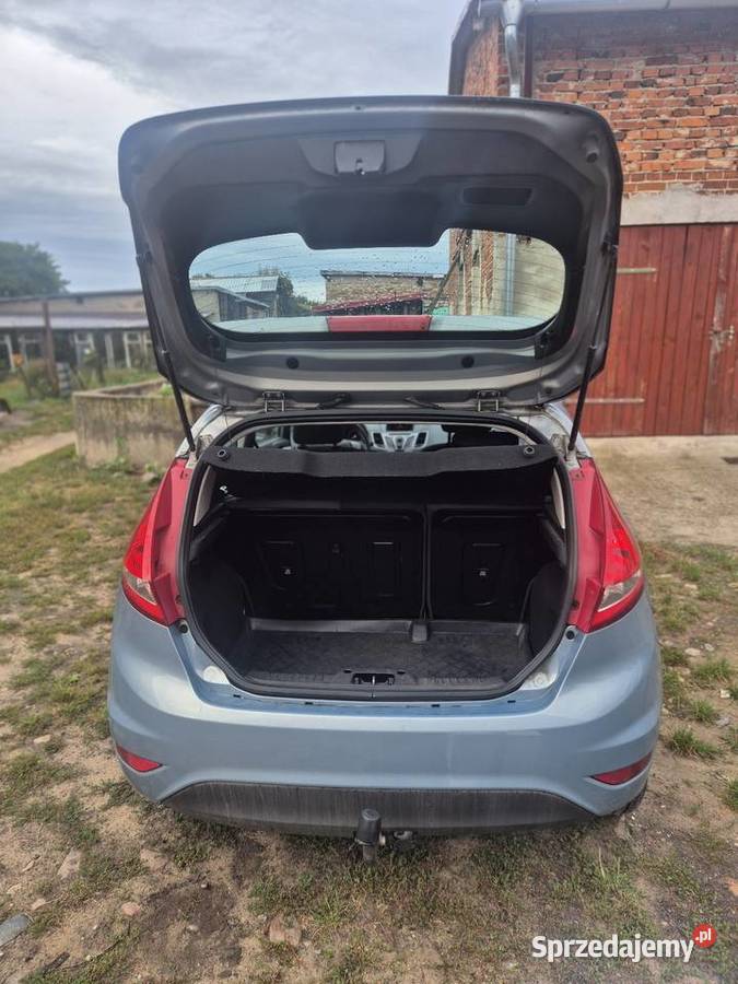 Ford Fiesta mk7 Drzecin