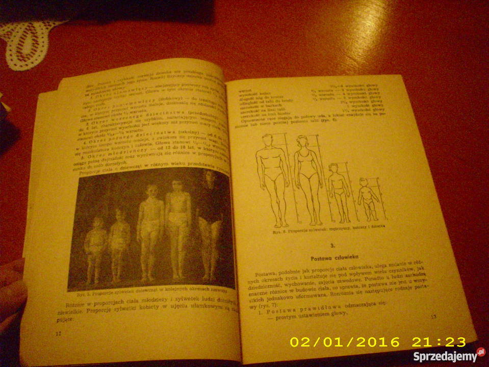 Krój i modelowanie odzieży damskiej Goleniów